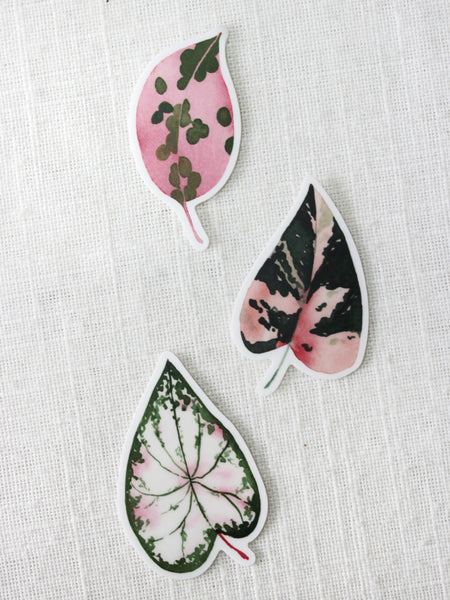 Les feuilles roses, lot de 3 stickers