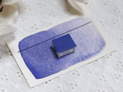 Scilla, demi-godet d'aquarelle