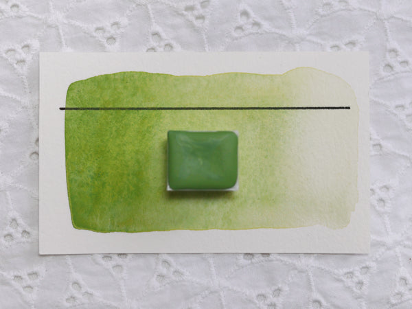 Euphorbe, demi-godet d'aquarelle