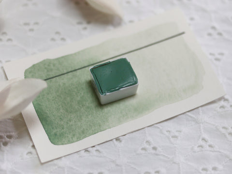 Sauge, demi-godet d'aquarelle