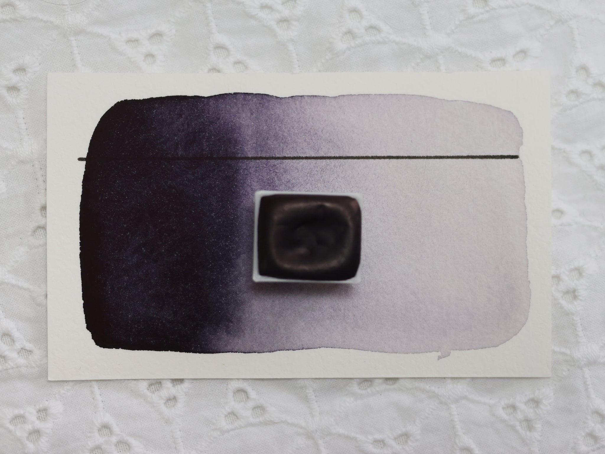 Prune, demi-godet d'aquarelle