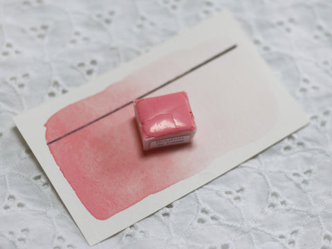 Bouton de Rose (nouvelle formule), demi-godet d'aquarelle