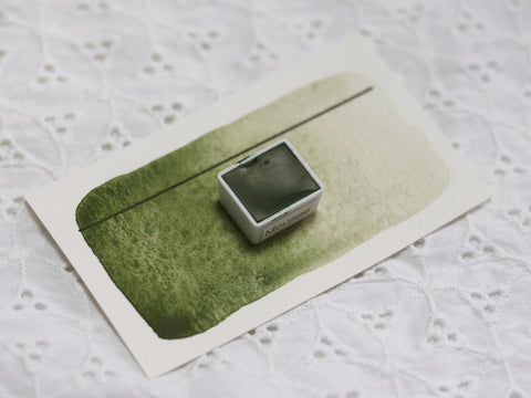 Mousse, demi-godet d'aquarelle