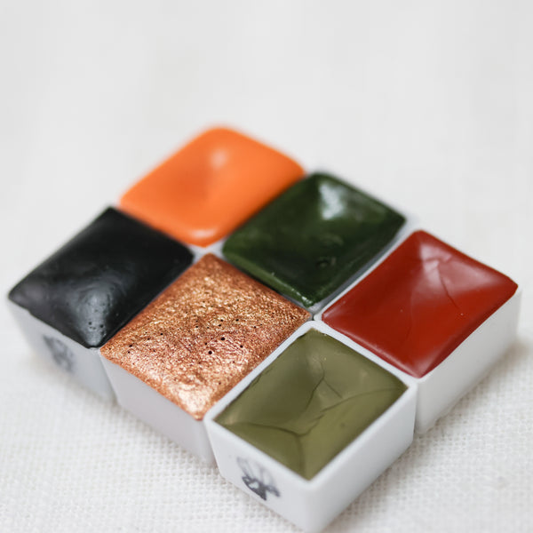 Set Forêt Enchantée, 6 demi-godets d'aquarelle