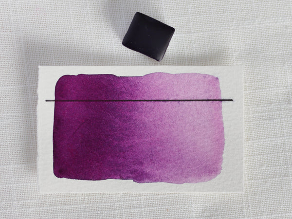 Colchique, demi-godet d'aquarelle