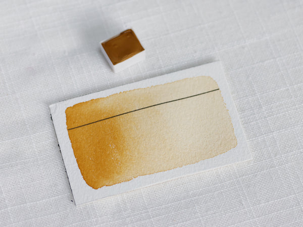 Crocus (new), demi-godet d'aquarelle