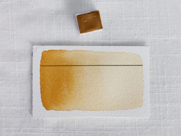 Crocus (new), demi-godet d'aquarelle