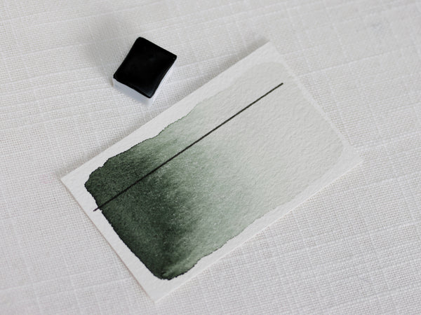 Ciguë, demi-godet d'aquarelle