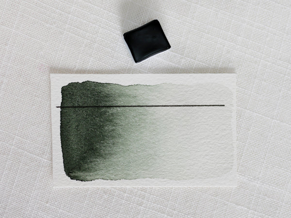 Ciguë, demi-godet d'aquarelle