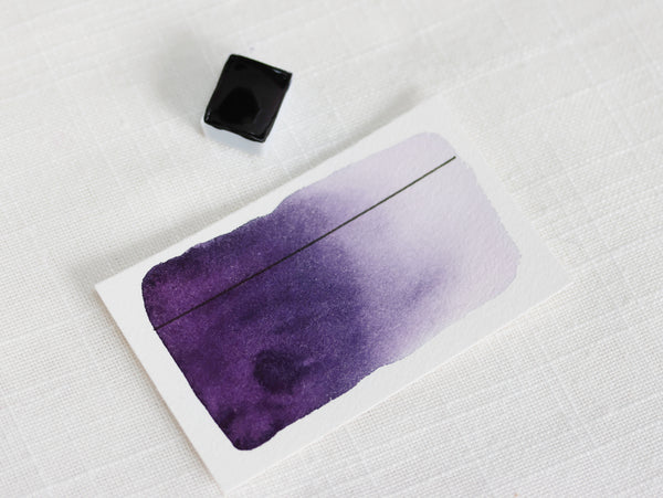 Pétunia, demi-godet d'aquarelle