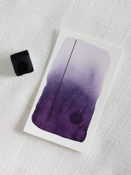 Pétunia, demi-godet d'aquarelle