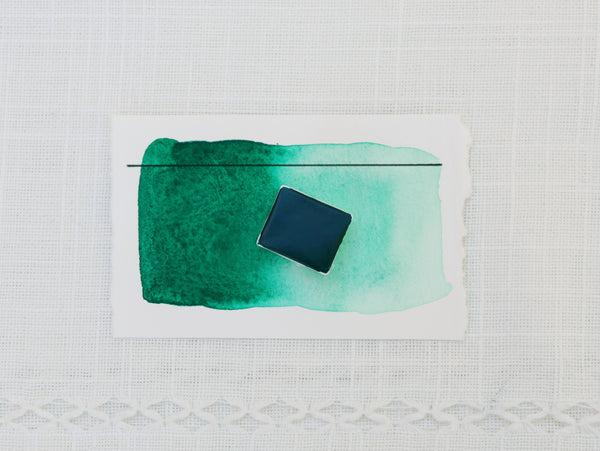 Genévrier, demi-godet d'aquarelle