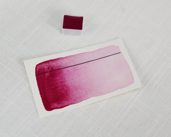Rhubarbe, demi-godet d'aquarelle
