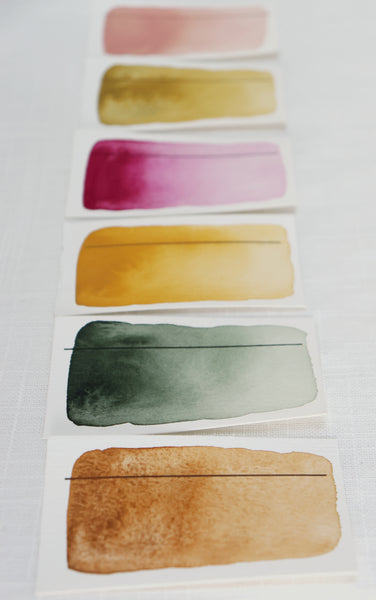 Speculoos, demi-godet d'aquarelle