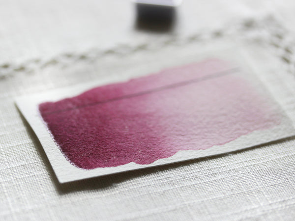 Figue, demi-godet d'aquarelle