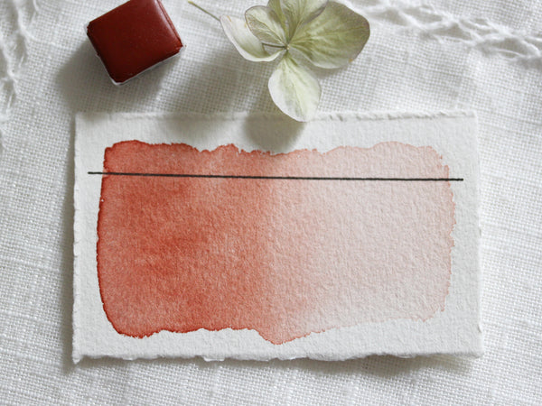 Bois de Rose, demi-godet d'aquarelle