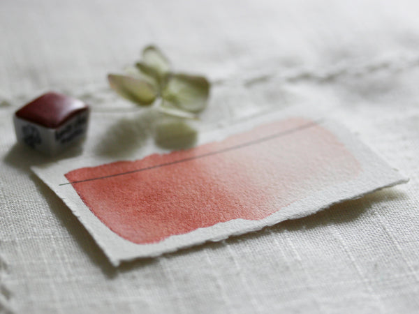 Bois de Rose, demi-godet d'aquarelle